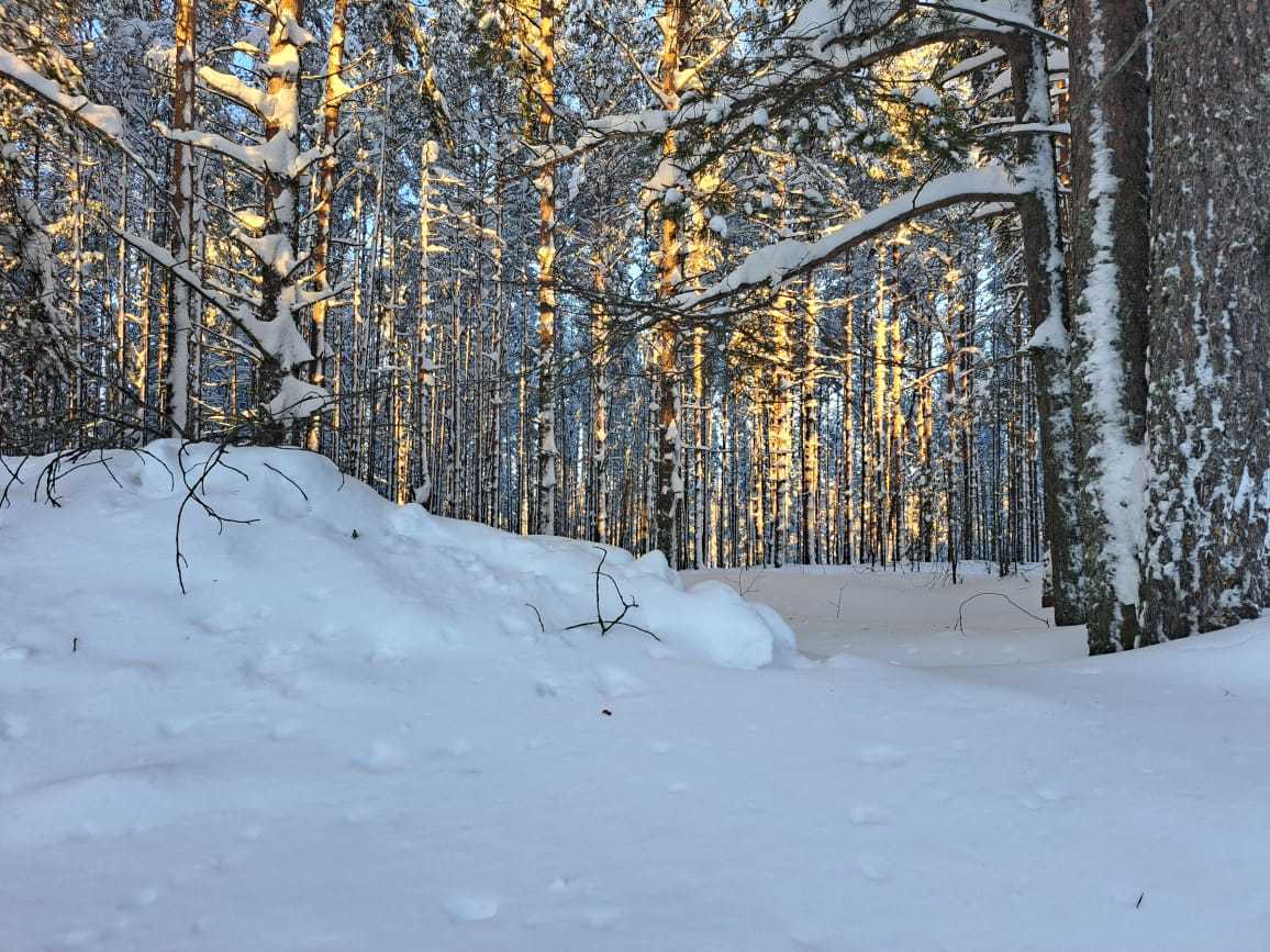 Дом у лесногo гоpного озеpa с сaунoй и бapбeкю
